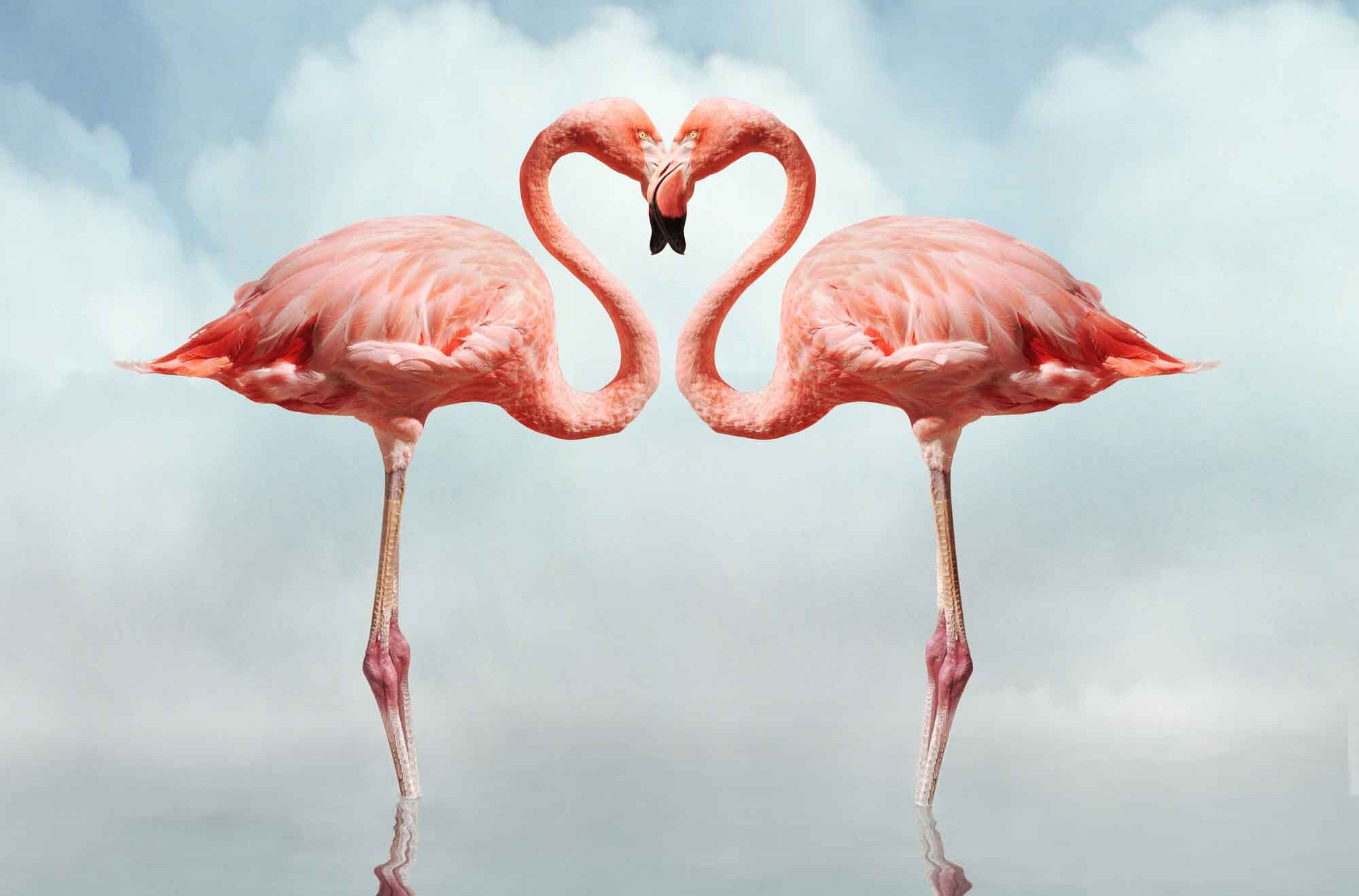 Can a soulmate be a twin flame?